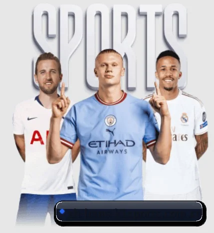 k1体育 APP - K1Sports